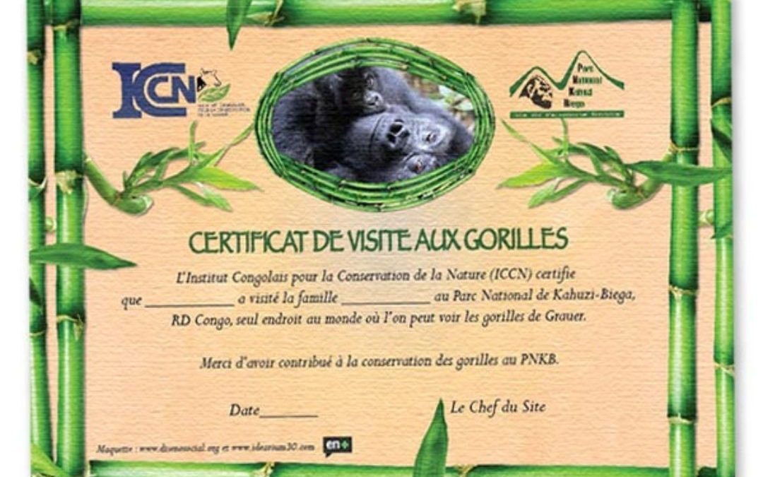 Diplomas y certificados