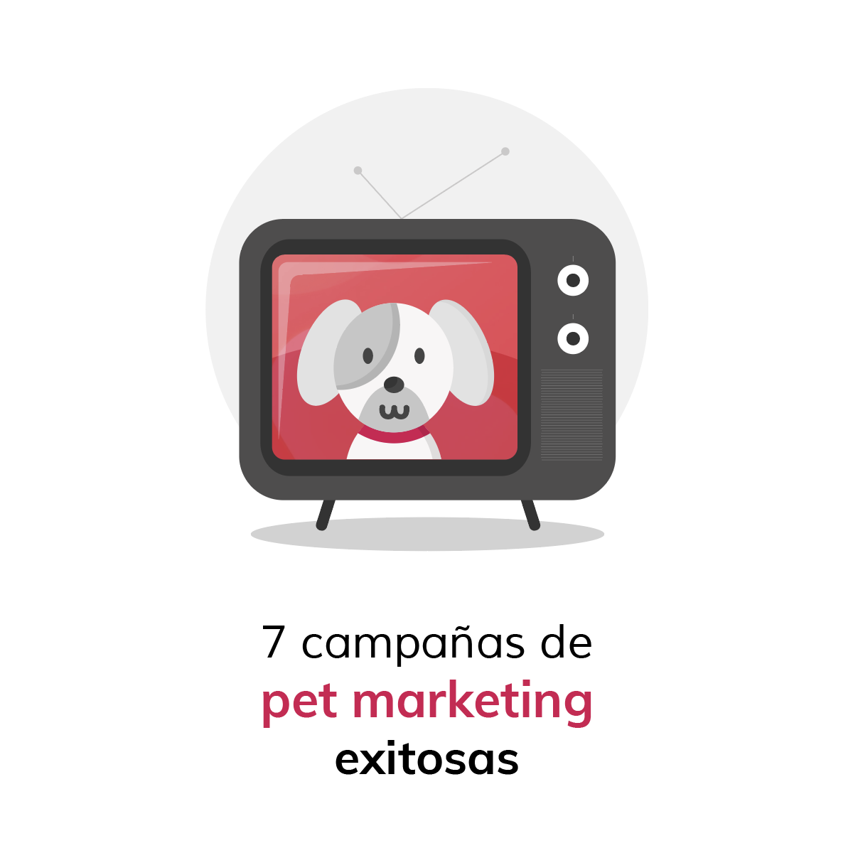 campanas-de-pet-marketing-exitosas