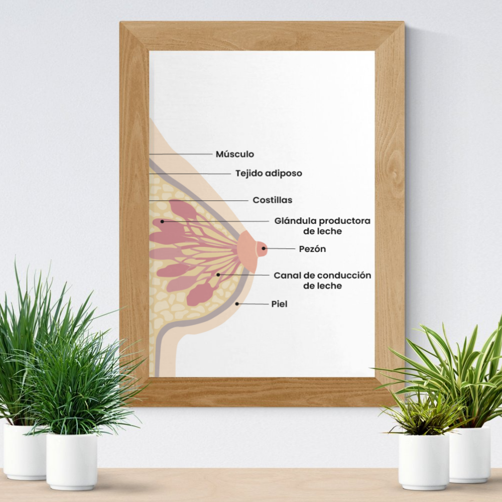 Diseño de ilustración para SentirT