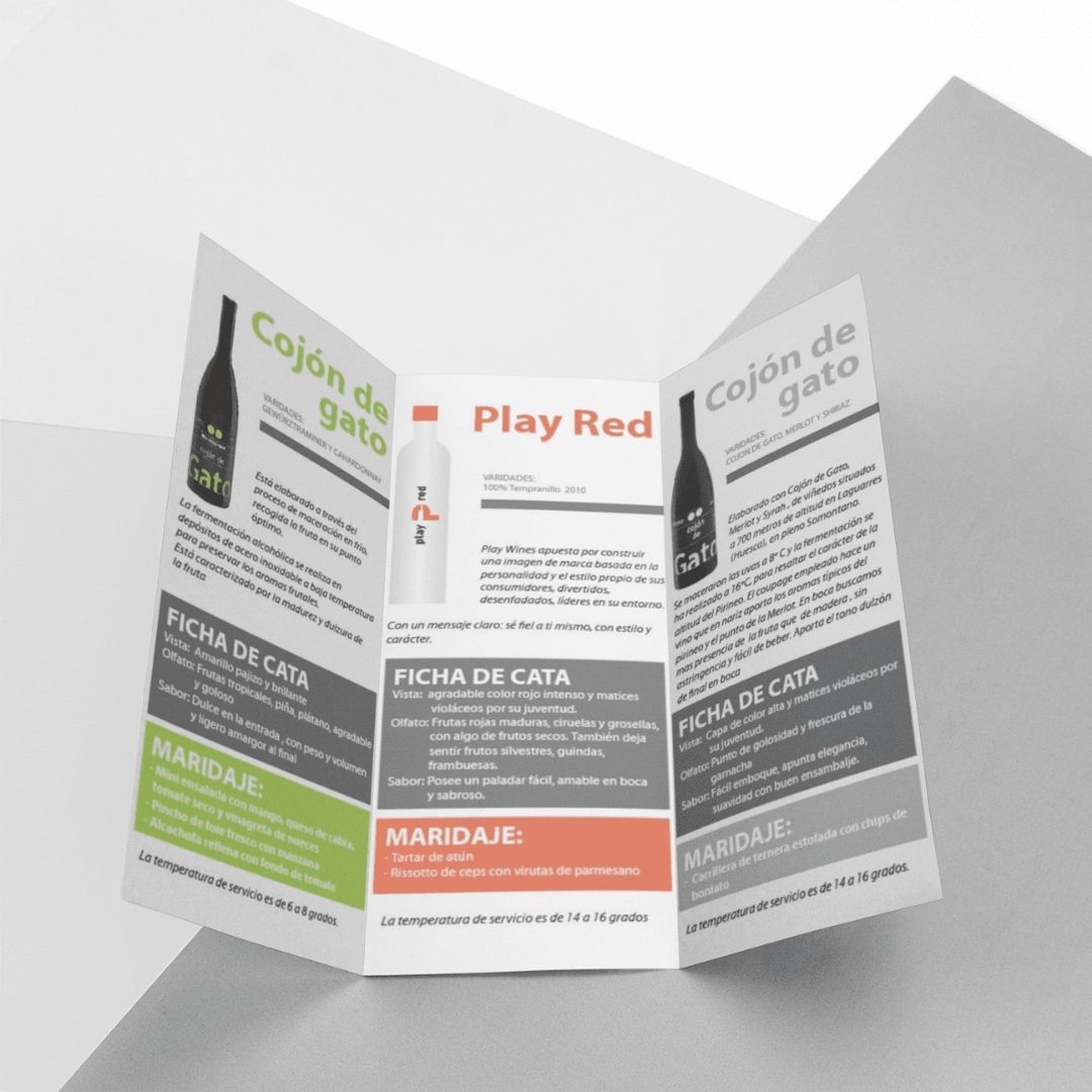 Diseño de tríptico para eventos